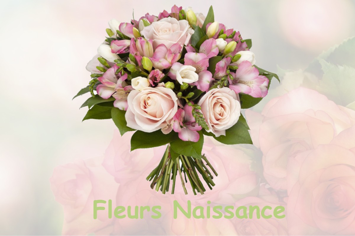 fleurs naissance SAINT-GEORGES-DE-LIVOYE